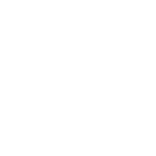 SSIIcon